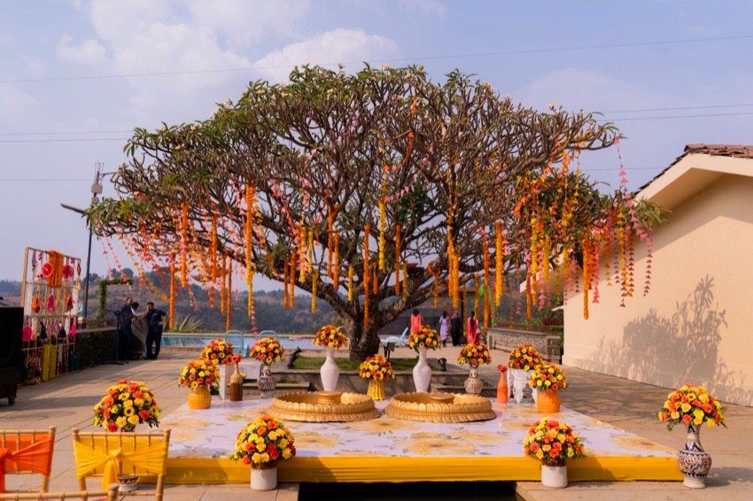 Shivani and Abhishek — the haldi ceremony